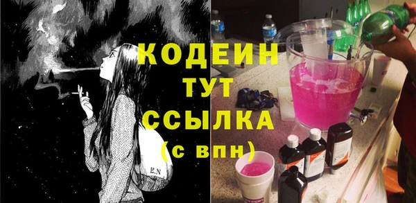 дмт Карпинск