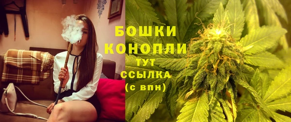 дмт Карпинск