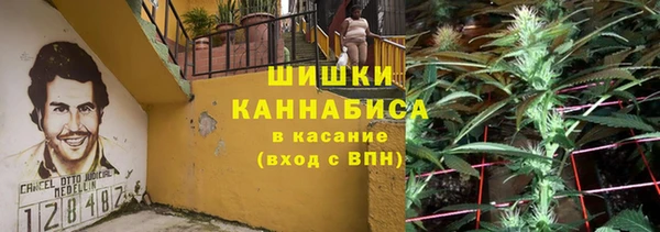 дмт Карпинск