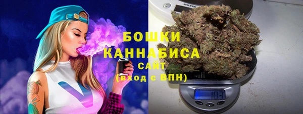 дмт Карпинск